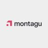 MONTAGU PRIVATE EQUITY image